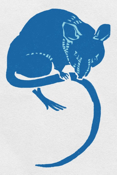 Thumbnail: Animal Art_362.jpg