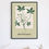 Thumbnail: Botanical Collection 23