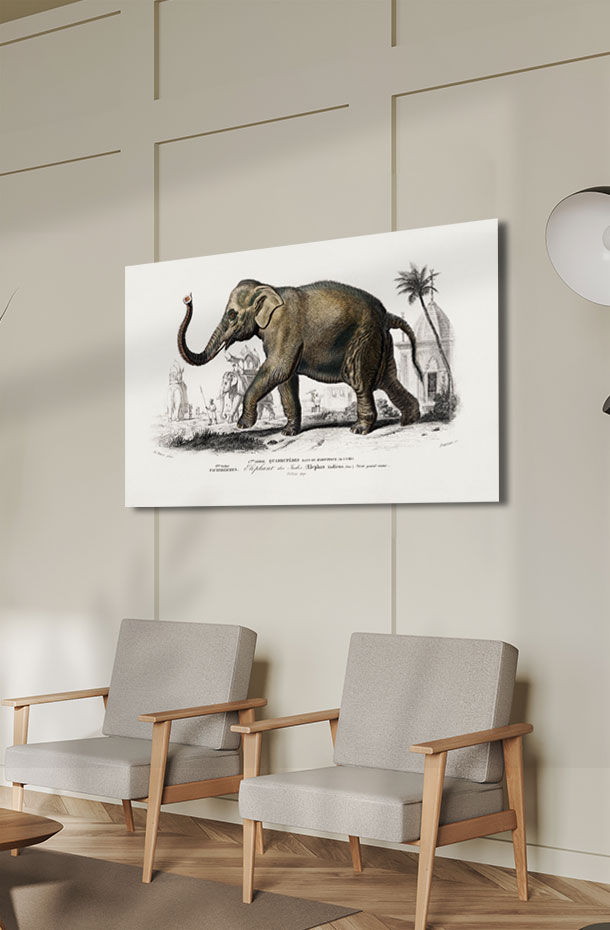 Animal Art_58.jpg