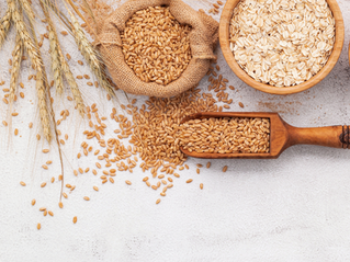 Why Whole Grains Matter for Your Dog’s Health