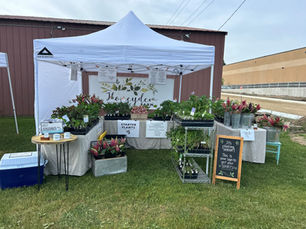 Honeydew Farm market booth featuring flowers, produce, and plant starts at the farmers market