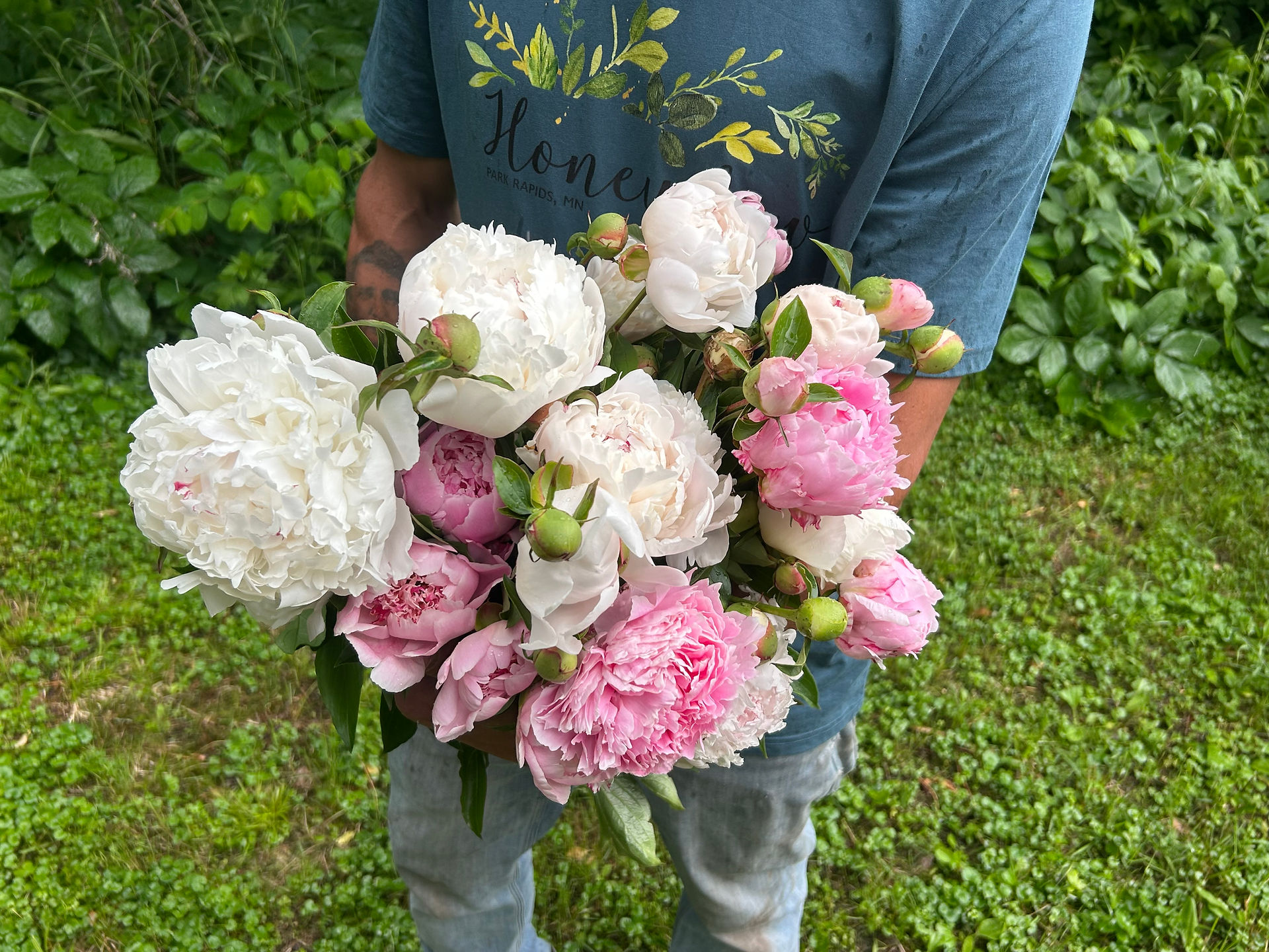 Freshly harvested white and pink peonies gathered at Honeydew Farm in northern Minnesota.