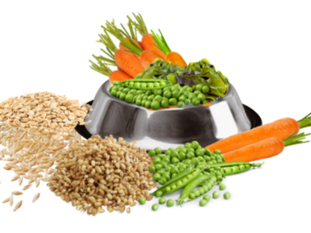 Why Fresh, Natural Dog Food Matters: Unlocking the Benefits of Real Ingredients