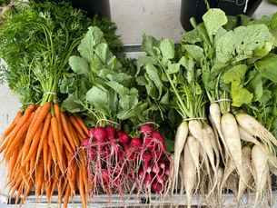 Carrots and Radishes fresh in bunches for sale