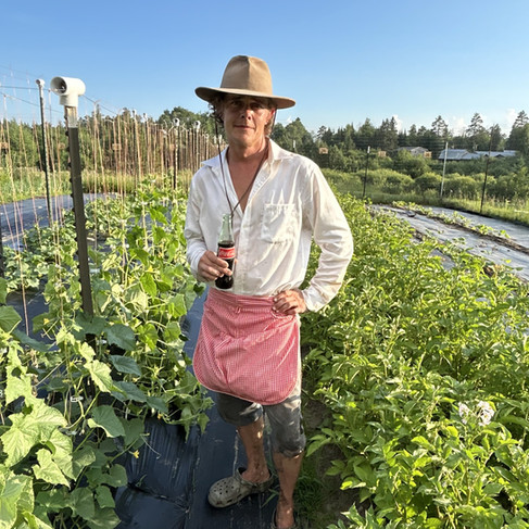 Alex trellising cucumber plants during the Honeydew Farm summer harvest.