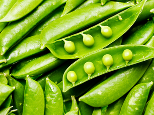 The Power of Peas for Dogs: Why This Ingredient Matters