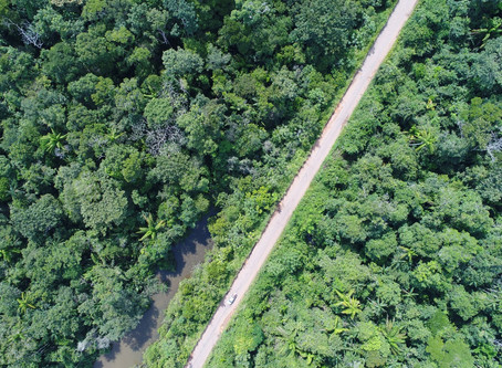 Drones | Levantamento Aéreo em Rodovias