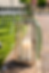 A lit white candle glows inside an elegant silver lantern tied with a pale green ribbon, positioned on a stone pathway