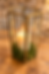 A lit white candle is housed within a geometric brass and glass lantern, its base cushioned by vibrant green moss on a rustic wooden surface.