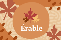 Érable