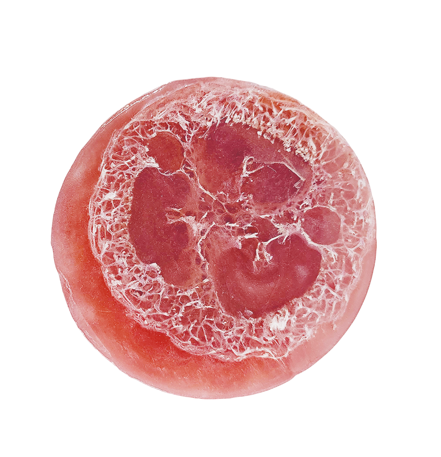 Loofah Pivoine & carambole