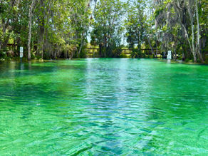Looking for Mermaids