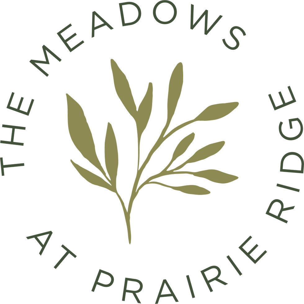The Meadows Secondary Logo Primary.png