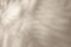 Allers Linen Shadows.jpeg