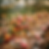 ChatGPT Image 16 févr. 2026, 18_08_37.png