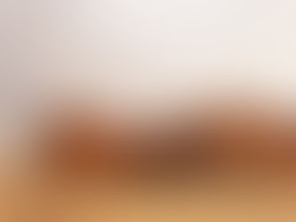 ControlNet: generating images with constraints.