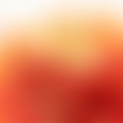 A Arte da Fotografia Gastronômica: Impulsionando Restaurantes, Hotéis e Bares