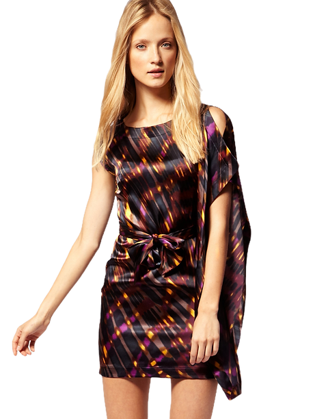 sachin and babi light blue dress Purple Floral Tulle Plunge Woven Mini Dress