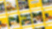 BEEFSTACK.png
