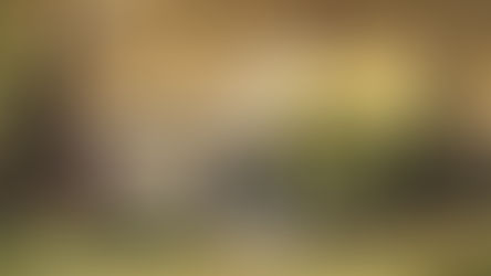 A Magic World Beneath The Surface