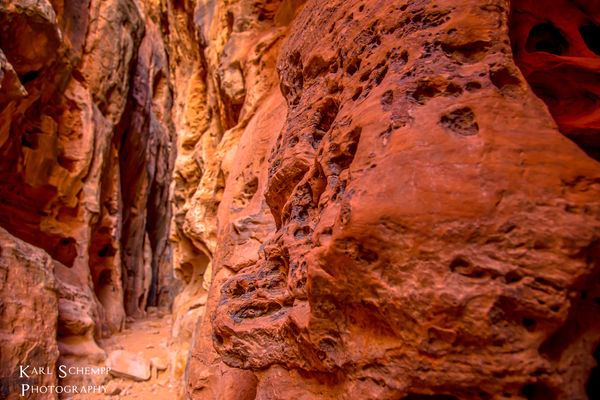 Jenny's Canyon LOGO.JPG