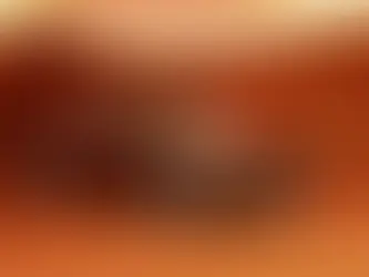 Duel de citadines Top des voitures les plus vendues en France entre 2023 et 2024 :