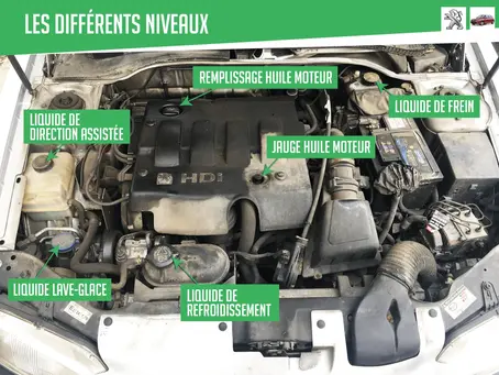 Entretenir son véhicule d'occasion : Hygiène moteur et liquide de refroidissement