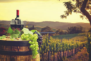 Tuscany Vineyards