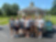 IMG_0024.jpeg