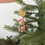 Miniature : Suspension de Noël - Ourson