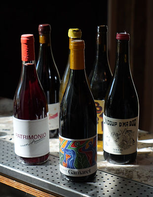 WhatsApp Image 2024-05-07 at 15.29.50 (1).jpeg