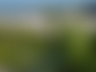 Bei Ebbe zum Meer durch Sand und Muscheln