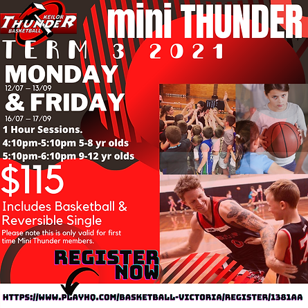 mini thunder T3 (1).png