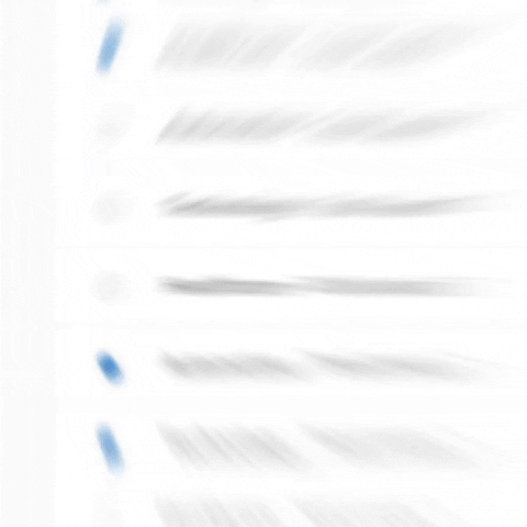 gif1.gif