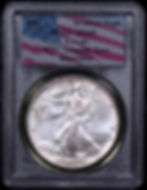 Thumbnail: 1991 1 Oz Silver Eagle PCGS MS69 WTC Recovery 9/11 World Trade Center Ground Zer