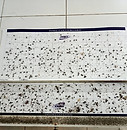 แผ่นกาวจากเครื่องดักแมลง ISS - 182 ที่ใช้แผ่นกาวสองขนาด 12 x 57cm และ 23 x 55cm