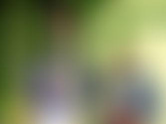 The Wogglebug and the Wizard Theory