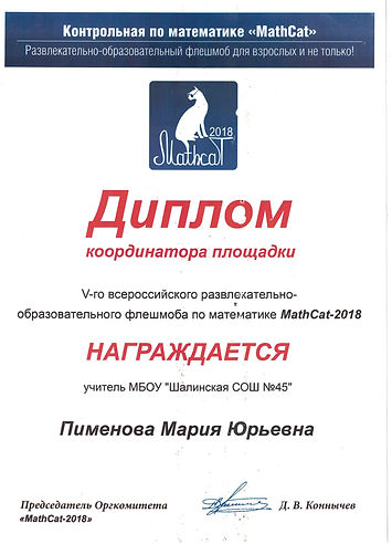 ноябрь 2018 Диплом координатора площадки.jpg