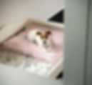 thumbnail_FullSizeRender_edited.jpg