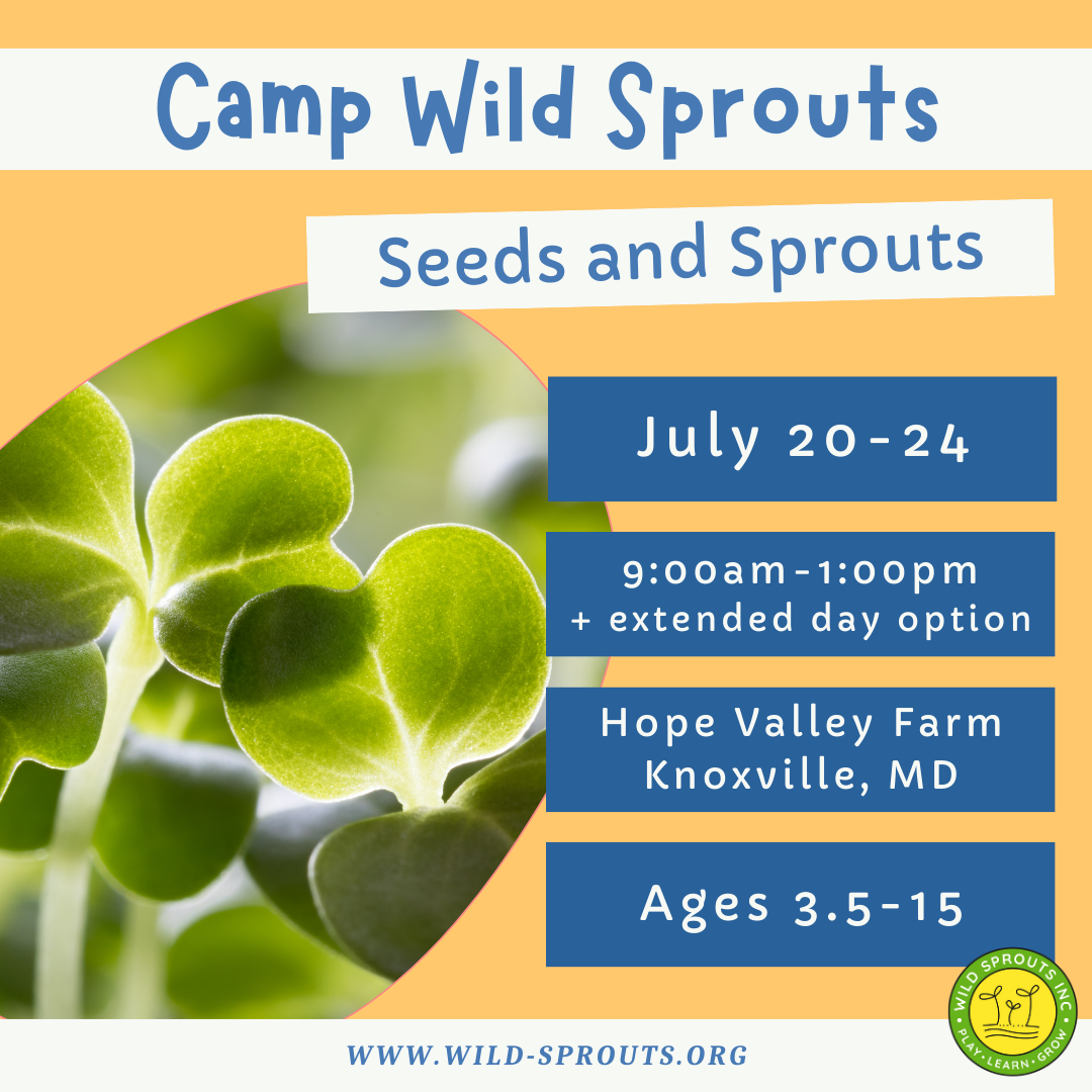 July 20-24: Seeds and Sprouts