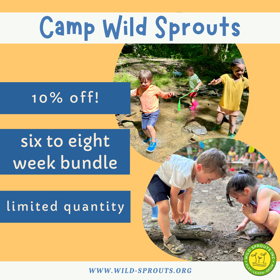 6-8 Week Summer Camp Packages