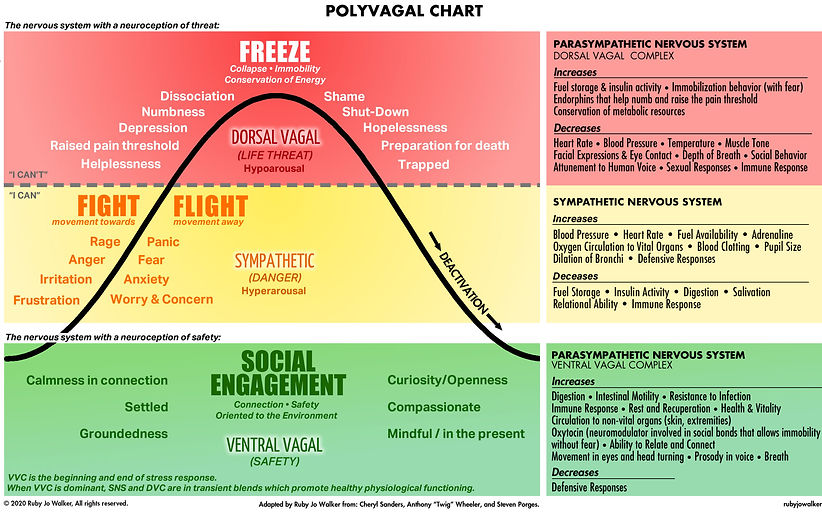 Polygonal chart.jpeg