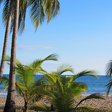 beach-4746787_1920.jpeg