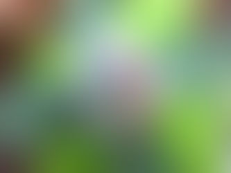 紫陽花ライト☆6月(2022)