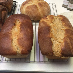 Honey Whole Wheat Sour Dough