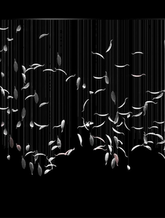 FE0EF20B-1795-4CF9-AEB7-3103165D1CA9.PNG