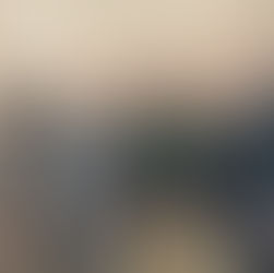 PORT AND HARBOR COMMISSIONERS RE-ELECT OFFICERS