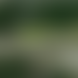 HANCOCK COUNTY PORT & HARBOR COMMISSION SEEKS TO BUILD MULTI-USER AEROSTRIP