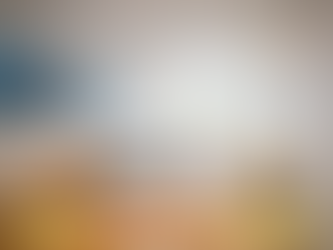 堺市東区白鷺町/新築戸建/全1棟