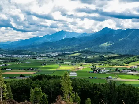 交通の便…それは…不便だけどもね